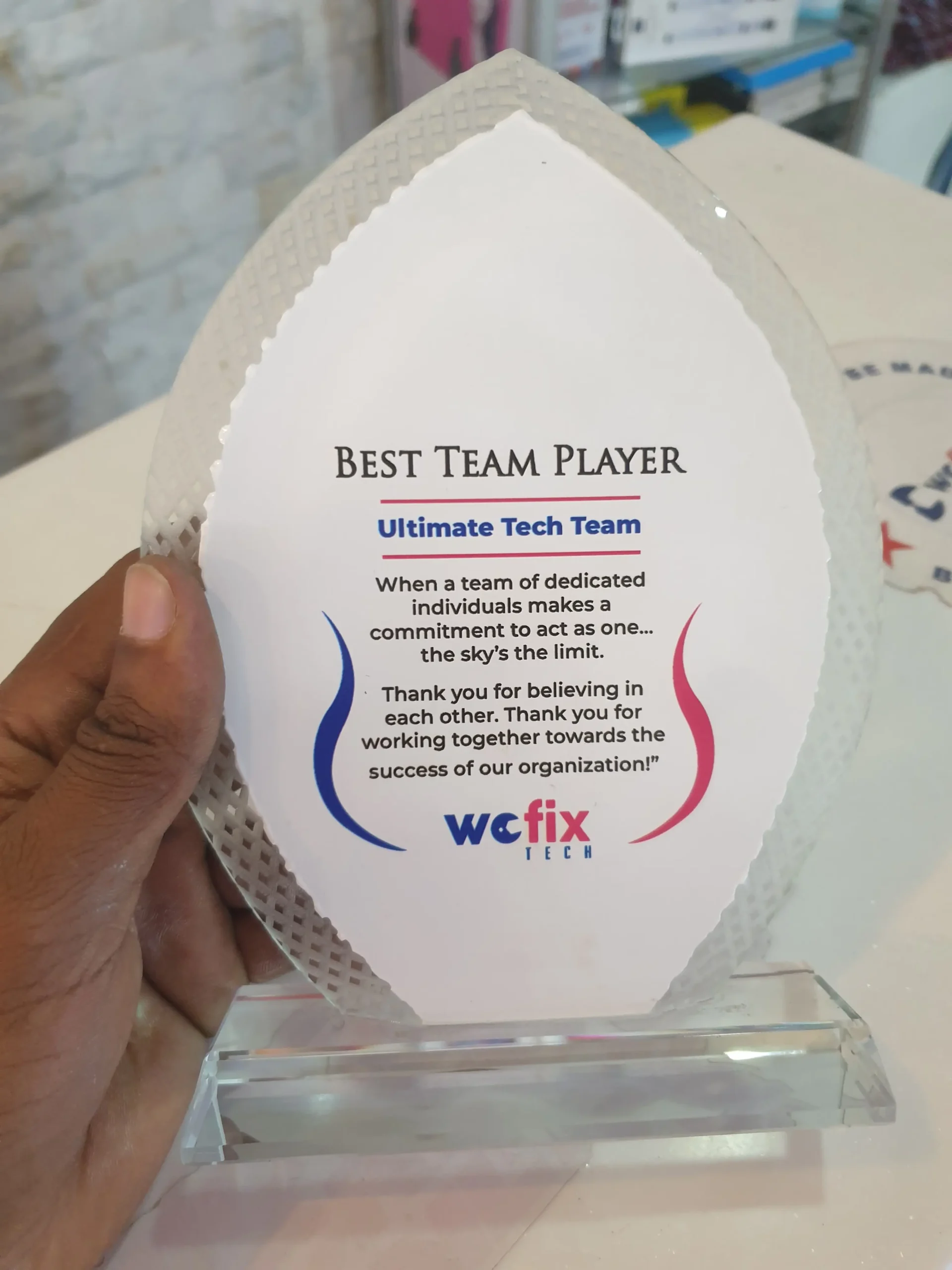 Branded Corporate Gifts 2 Branded Corporate Gifts - Best Team Player Gift - professional branded colored Gift for everyone