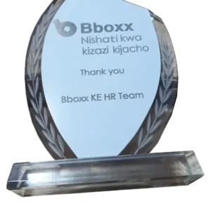 Home 196 Corporate Award Gifts